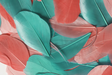 Similar image 13241022