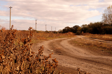 Similar image 13236100