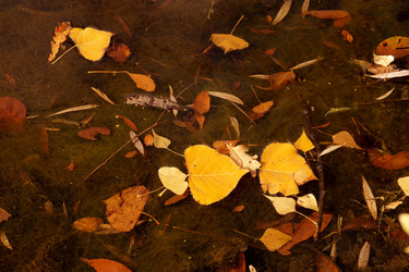 Similar image 13236101