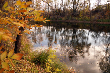 Similar image 13236102