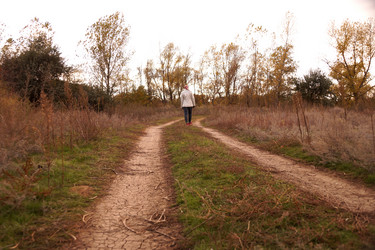 Similar image 13236103