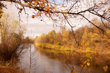 Similar image 13236104