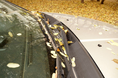 Similar image 13236106