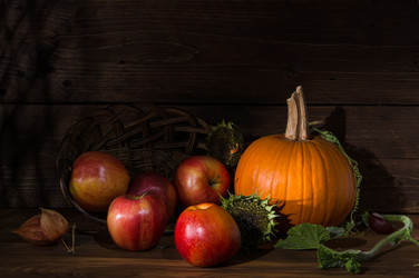 Similar image 13241288