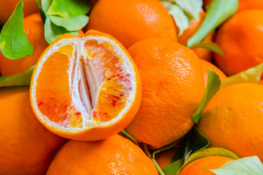 Similar image 13241134