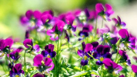 Similar image 13241374