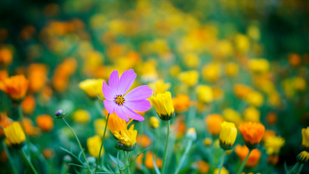 Similar image 13241377