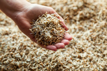 Similar image 13241719