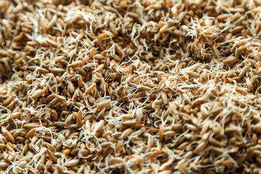 Similar image 13241720