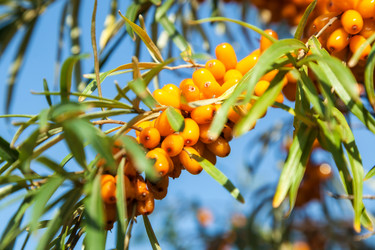 Similar image 13241721