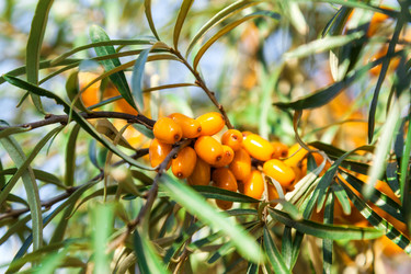 Similar image 13241382