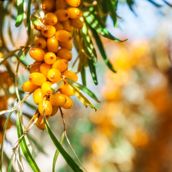 Similar image 13241383