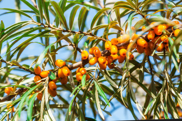 Similar image 13241384