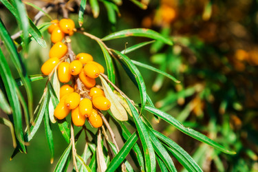 Similar image 13241385