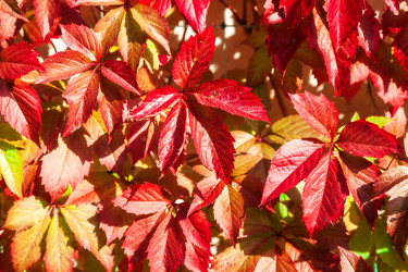 Similar image 13241388