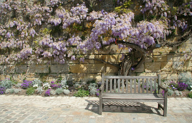 Similar image 13242249