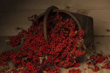 Similar image 13241257