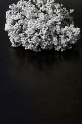 Similar image 13241009