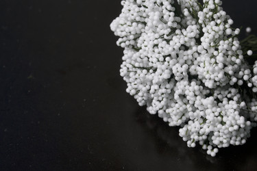 Similar image 13241010