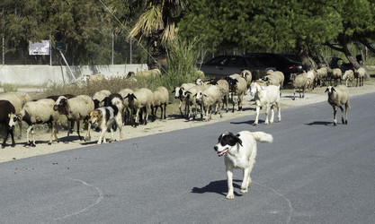 Similar image 13242318