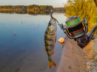 Similar image 13242393