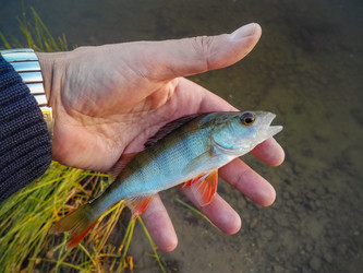 Similar image 13242395