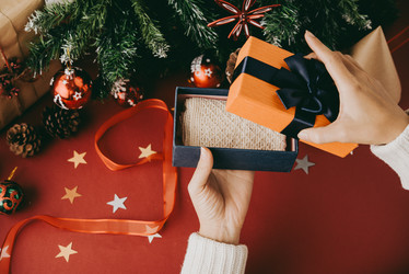 Similar image 13242479