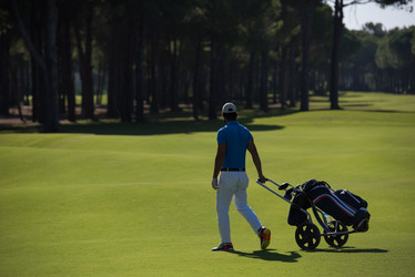 Similar image 13263190