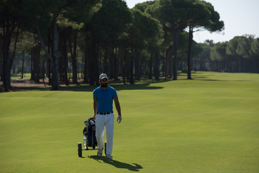 Similar image 13263179