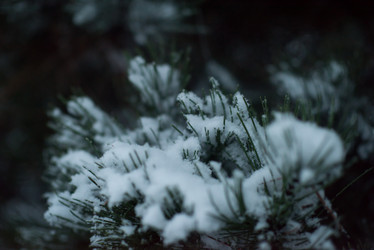 Similar image 13245132