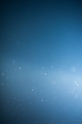 Similar image 13244769