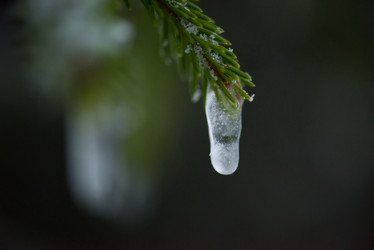 Similar image 13244902