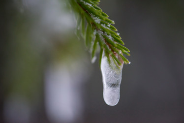 Similar image 13244904