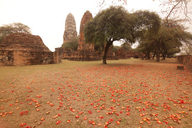 Similar image 13278784