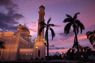 Similar image 13278768