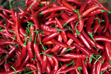 Similar image 13278777