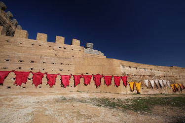 Similar image 13278774