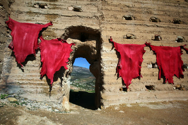 Similar image 13278776