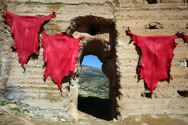 Similar image 13278778