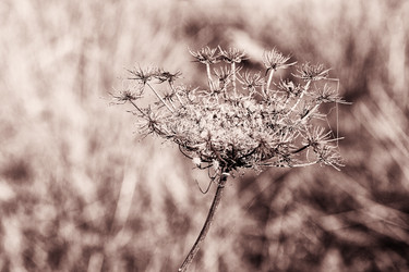 Similar image 13278336