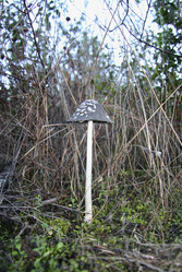 Similar image 13278337