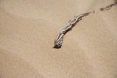 Similar image 13278313