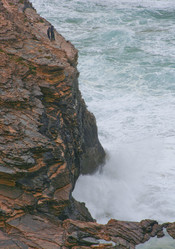 Similar image 13278342