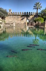 Similar image 13278441