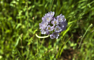 Similar image 13278324