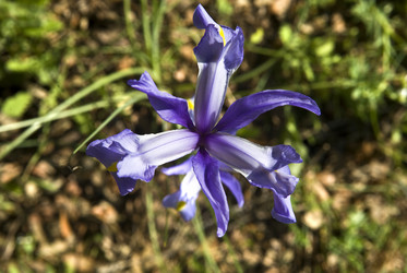 Similar image 13278348