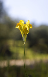 Similar image 13278350