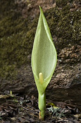 Similar image 13278382