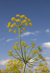 Similar image 13278384