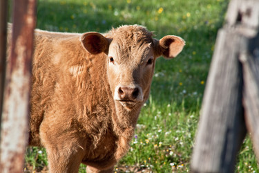 Similar image 13278667